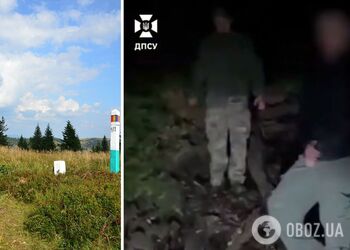 Пришлось вызвать помощь: медведица остановила нарушителя границы, который хотел попасть в Румынию. Видео