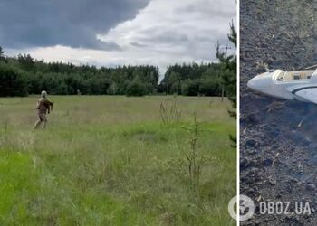 На Черниговщине пограничники сбили 'Шахед' из стрелкового оружия. Видео