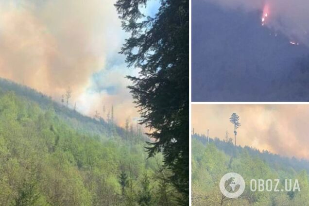 На Закарпатті вирує масштабна лісова пожежа: залучено рятувальників з кількох районів. Фото і відео