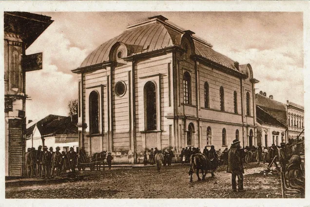 Каким было древнее Мукачево: атмосферные фото