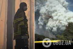 В Чернобыльской зоне вспыхнул масштабный лесной пожар: какова ситуация с радиацией. Фото и видео