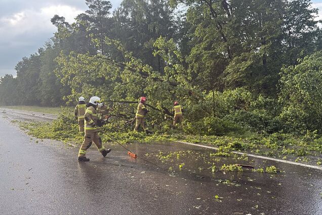 Срывал крыши и валил деревья: в Польше пронесся торнадо. Фото