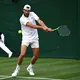 Одна из самых медленных подач в истории ATP завершилась эйсом. Видео стало вирусным в сети и собрало 750 000 просмотров за сутки
