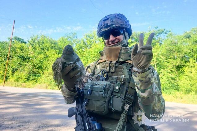 Каждая жизнь имеет значение: на Запорожье украинские воины помогли птице, которая запуталась в антидроновой сетке. Фото и видео