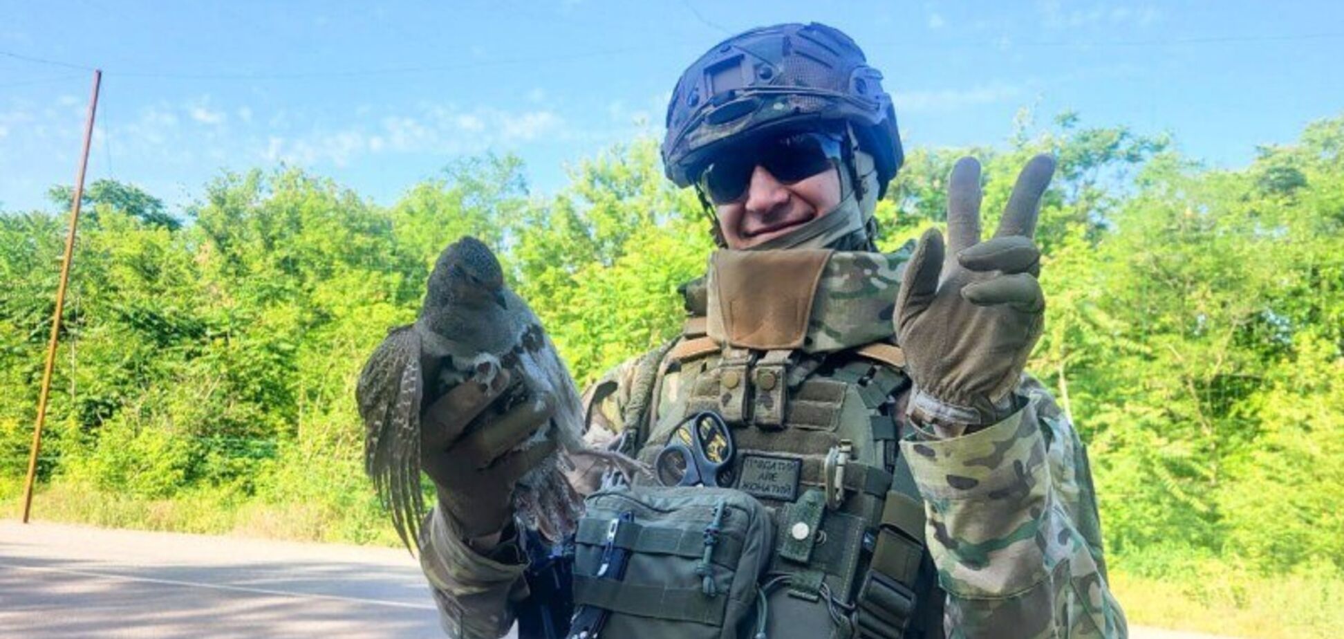 Каждая жизнь имеет значение: на Запорожье украинские воины помогли птице, которая запуталась в антидроновой сетке. Фото и видео