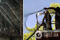 На Волыни вблизи границы с Беларусью установят антидронные сетки: что известно