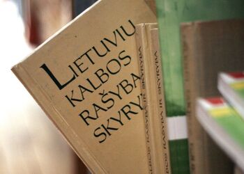 'Неизбежная реальность и здравый смысл': в Литве хотят заставить иностранцев учить литовский язык