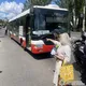 У Миколаєві автобус збив жінку на пішохідному переході: постраждала померла у лікарні. Фото