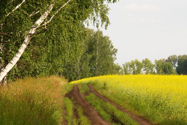 Чи прийде в Україну спека +40 з Європи: синоптикиня дала відповідь