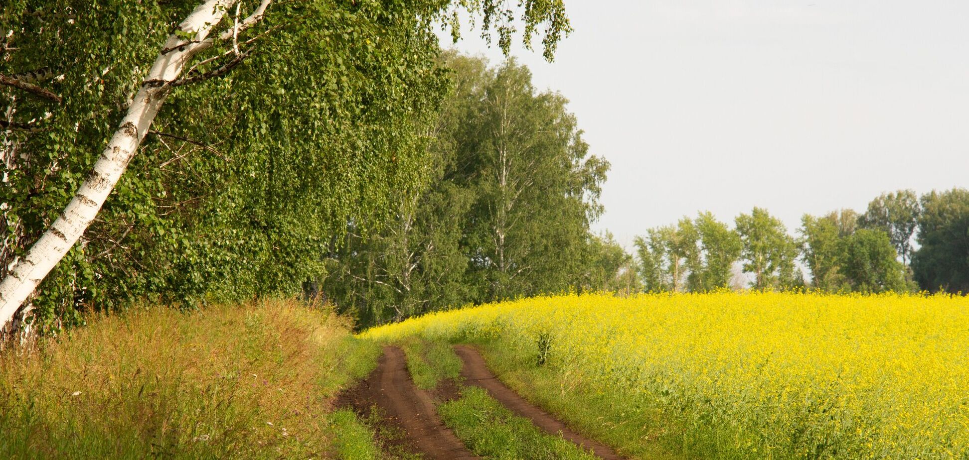 Чи прийде в Україну спека +40 з Європи: синоптикиня дала відповідь