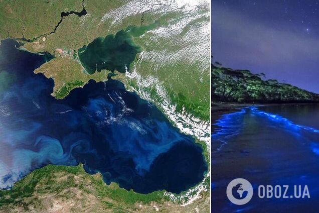 Чорне море