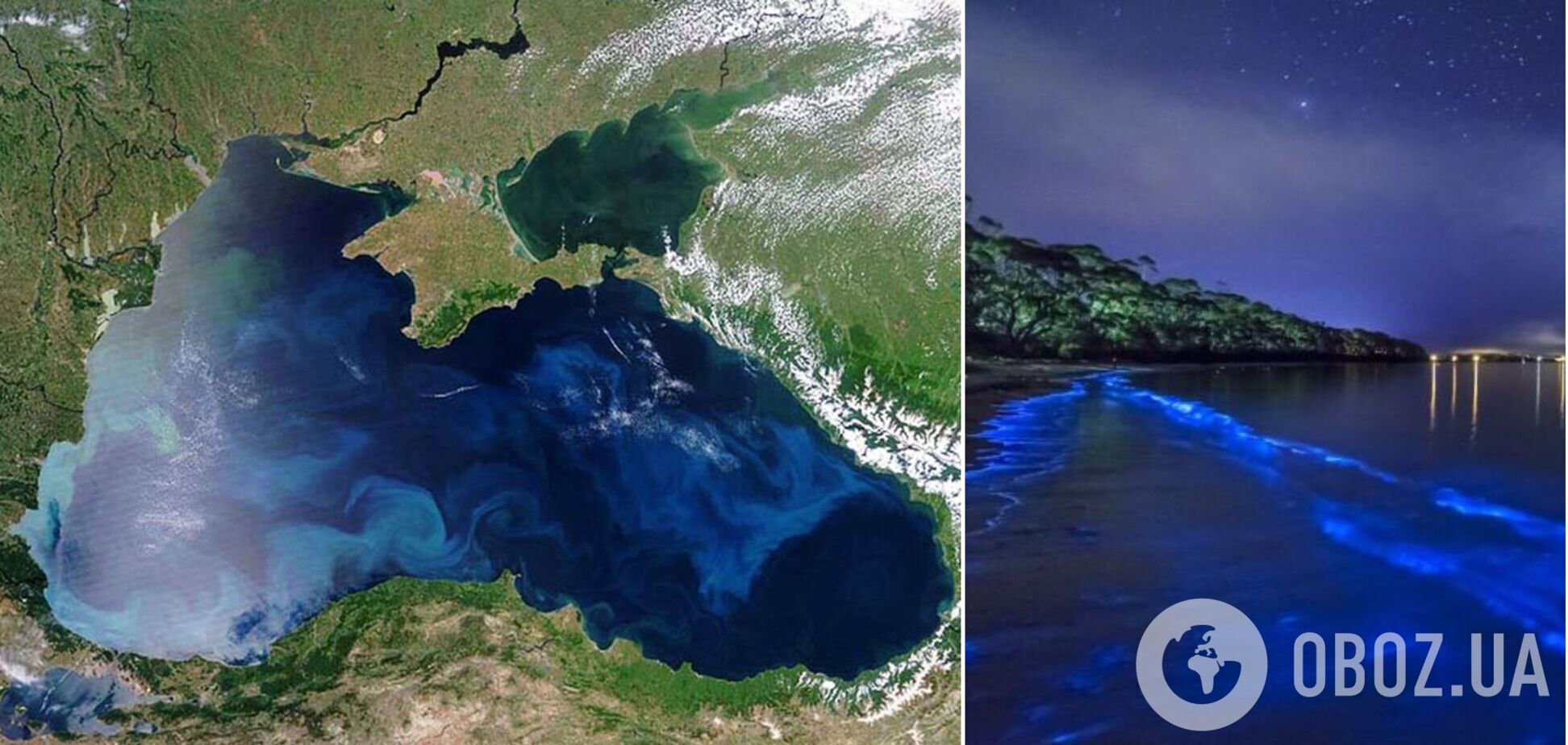 Пять фактов о Чёрном море, о которых мало кто знает