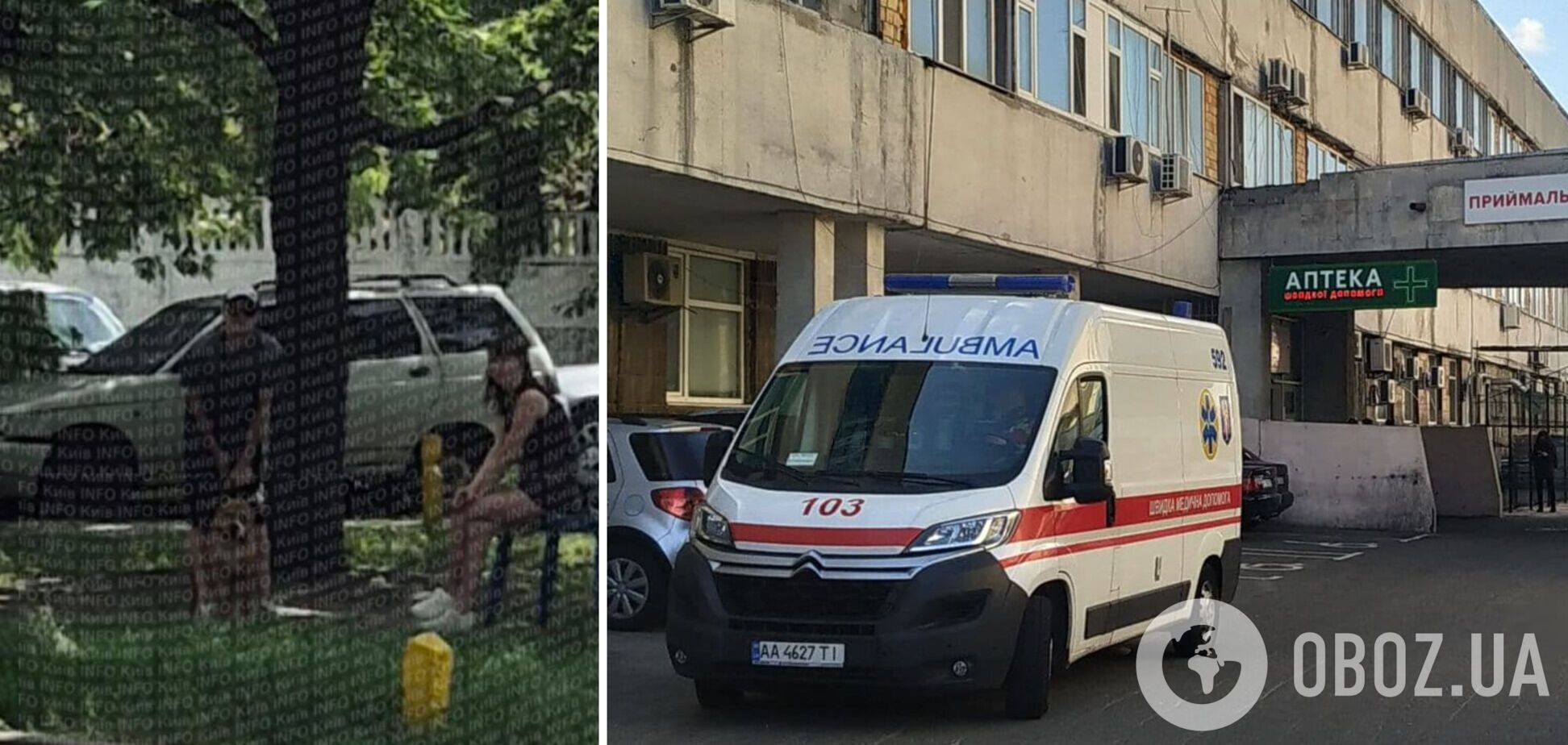 У Києві бійцівський собака напав на жінку та покусав її. Подробиці та фото