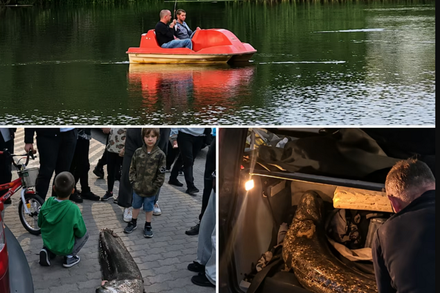 У Польщі затримали українця, який виловив з озера 20-літнього сома під час нересту: усі подробиці. Фото і відео