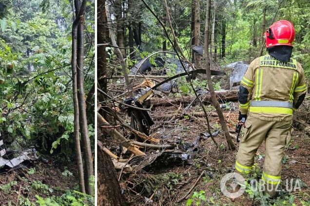 В Польше разбился вертолет, пилот погиб. Фото