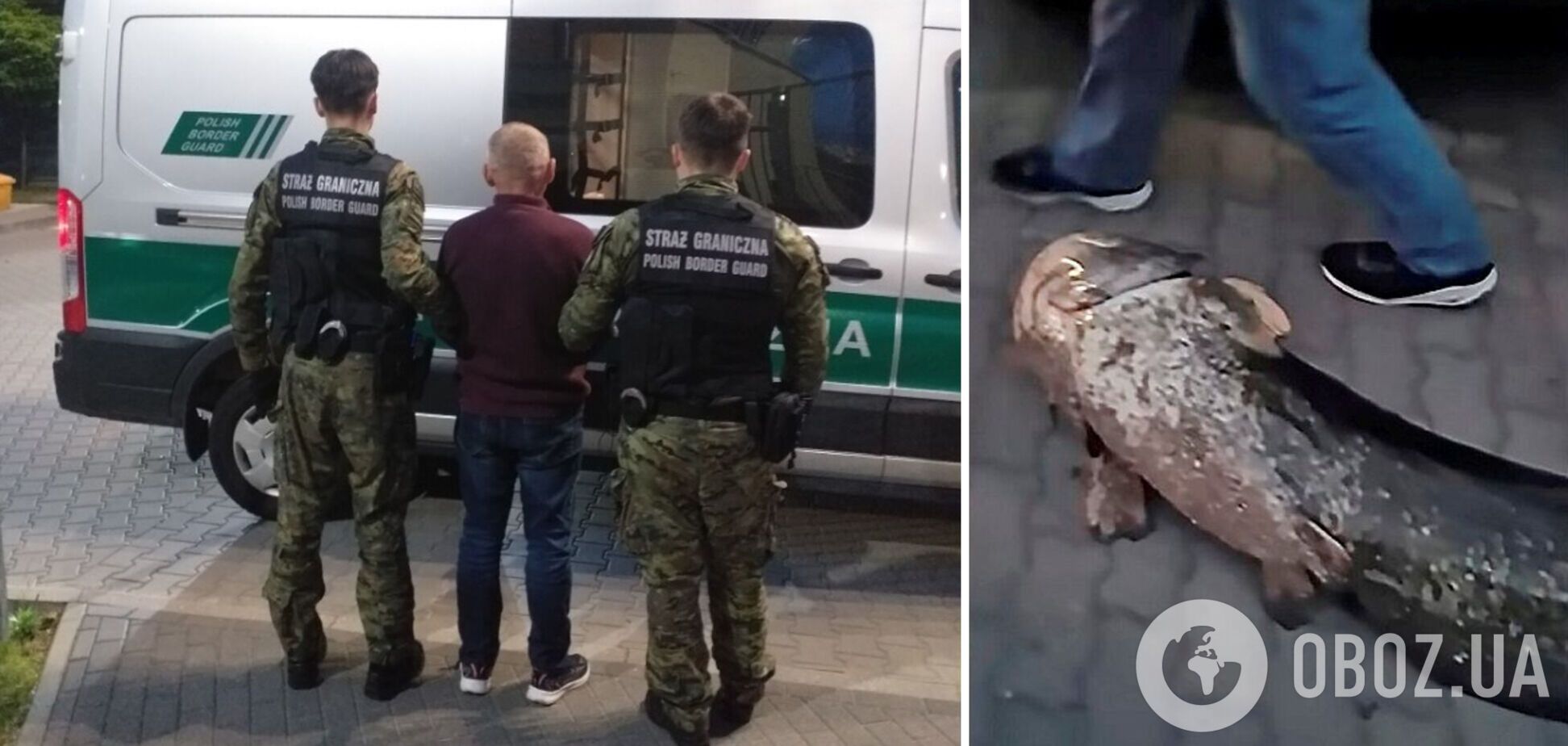 Из Польши депортировали украинца, который выловил известного варшавского сома. Фото