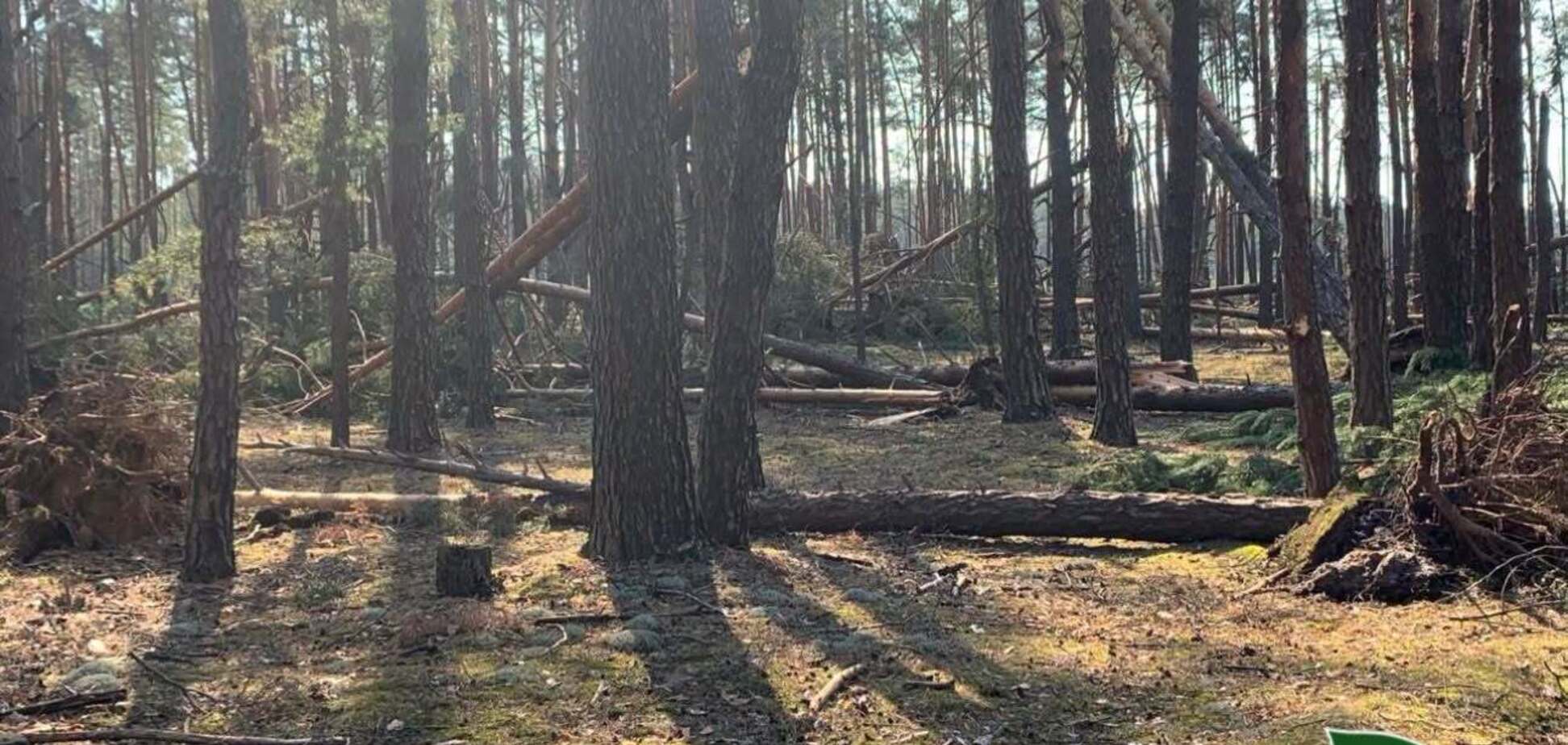 Кто получил деньги