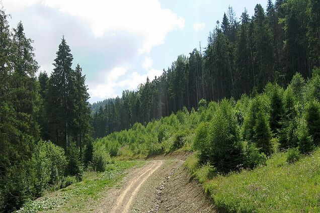 Українців закликали берегти гори