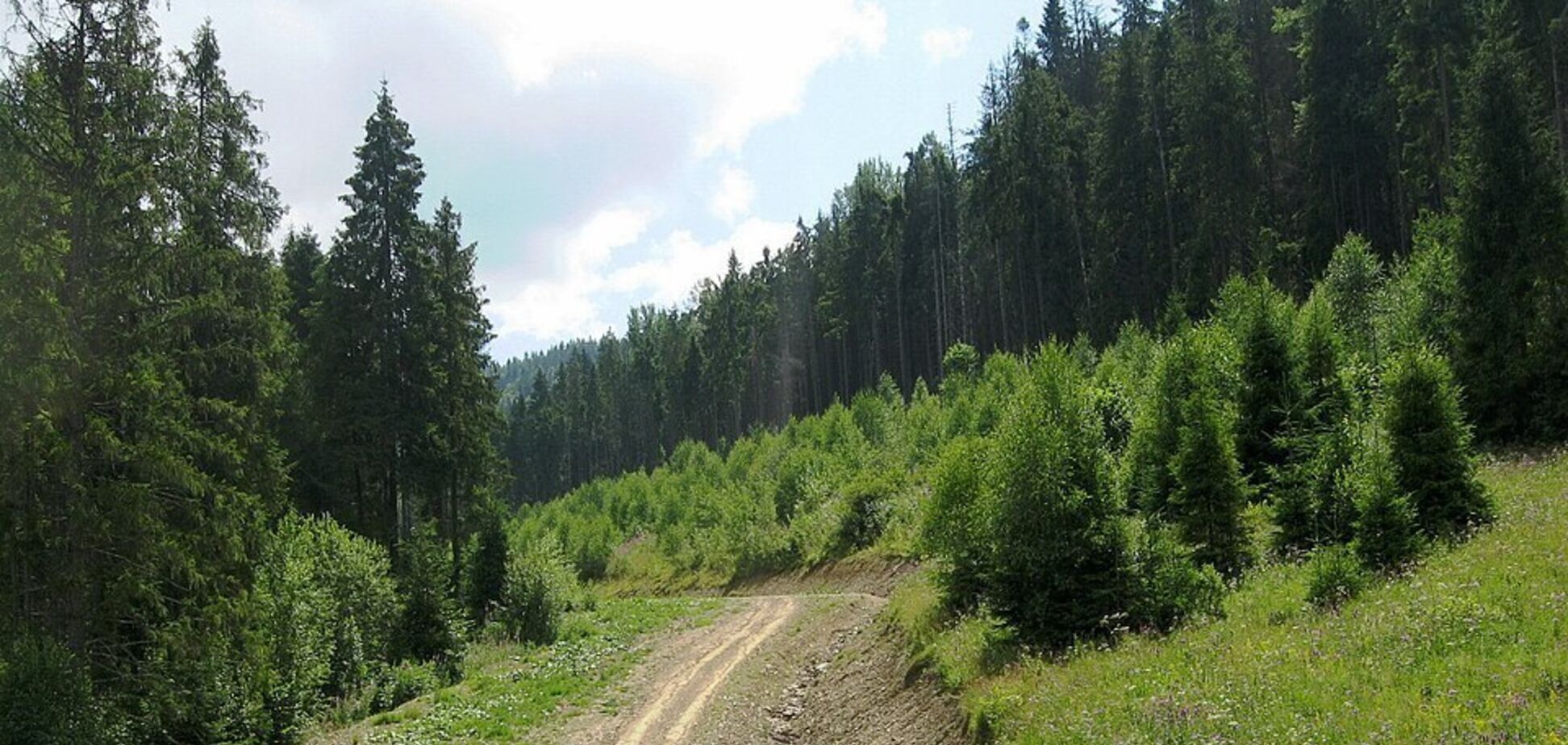Українців закликали берегти гори