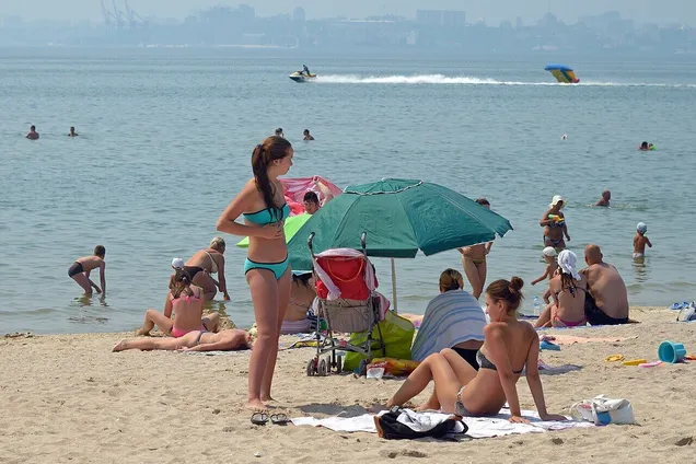 Украинцев предупредили о мошеннических схемах, связанных с арендой жилья во время отпуска