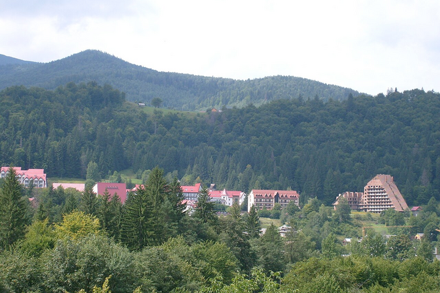 Яким було Яремче на початку ХХ столітті: рідкісні фото