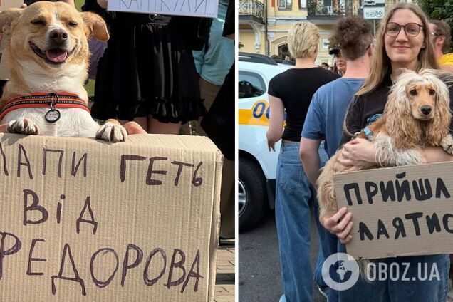 'Верніть Федорова і бананову 'Штучку': як українці вражали винахідливістю на мітингах. Фото