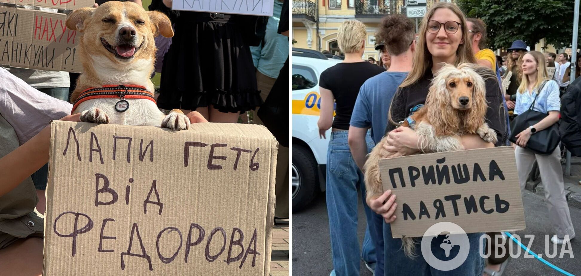Українці вразили винахідливістю на мітингах