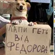«Верните Федорова и банановую «Штучку»: как украинцы поражали изобретательностью на митингах. Фото