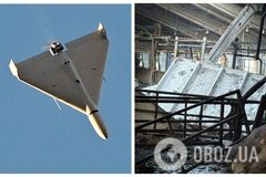 Армия РФ атаковала дронами молочную ферму в Сумской области: часть животных погибла