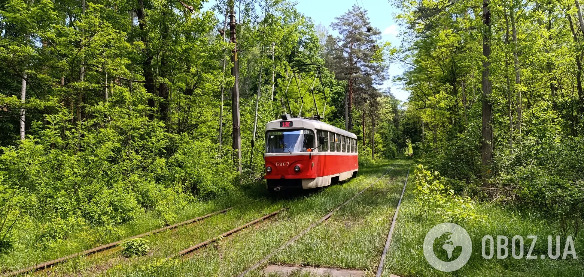 Трамвайна лінія у Пущі-Водиці: який вигляд вона мала на початку ХХ століття в Києві. Архівне фото