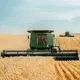 Ілюстрація - жнива в Україні