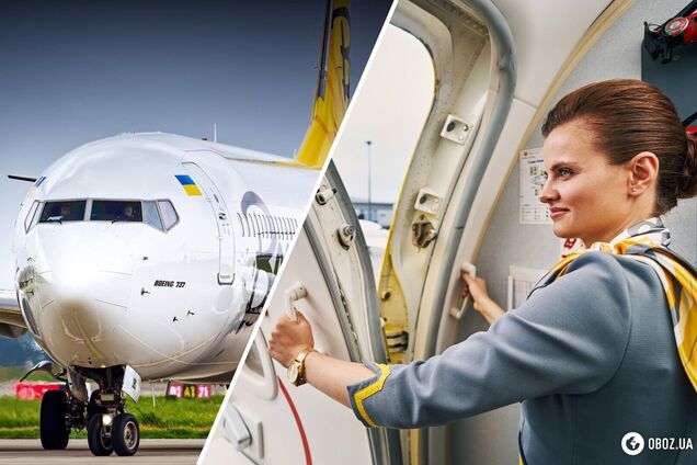 Літак та стюардеса Bees Airline. Ілюстрація