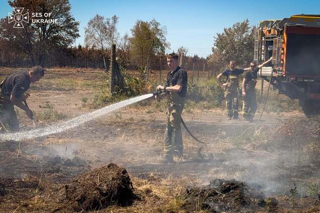 Вогонь загрожував населеному пункту: українські рятувальники у Франції зупинили лісову пожежу. Фото і відео