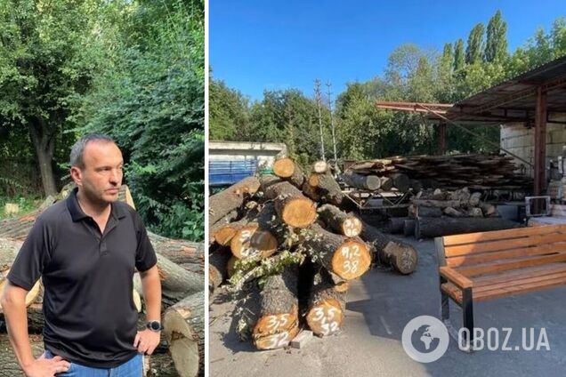 Кожне дерево на рахунку: журналісти дізналися, де зберігають дуби з Теремків, і яка доля на них чекає далі