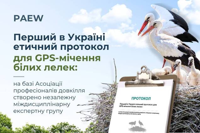 Ассоциация специалистов по охране окружающей среды поддержала проект ДТЭК 'Трек аистов' и разработала этический протокол GPS-трекинга