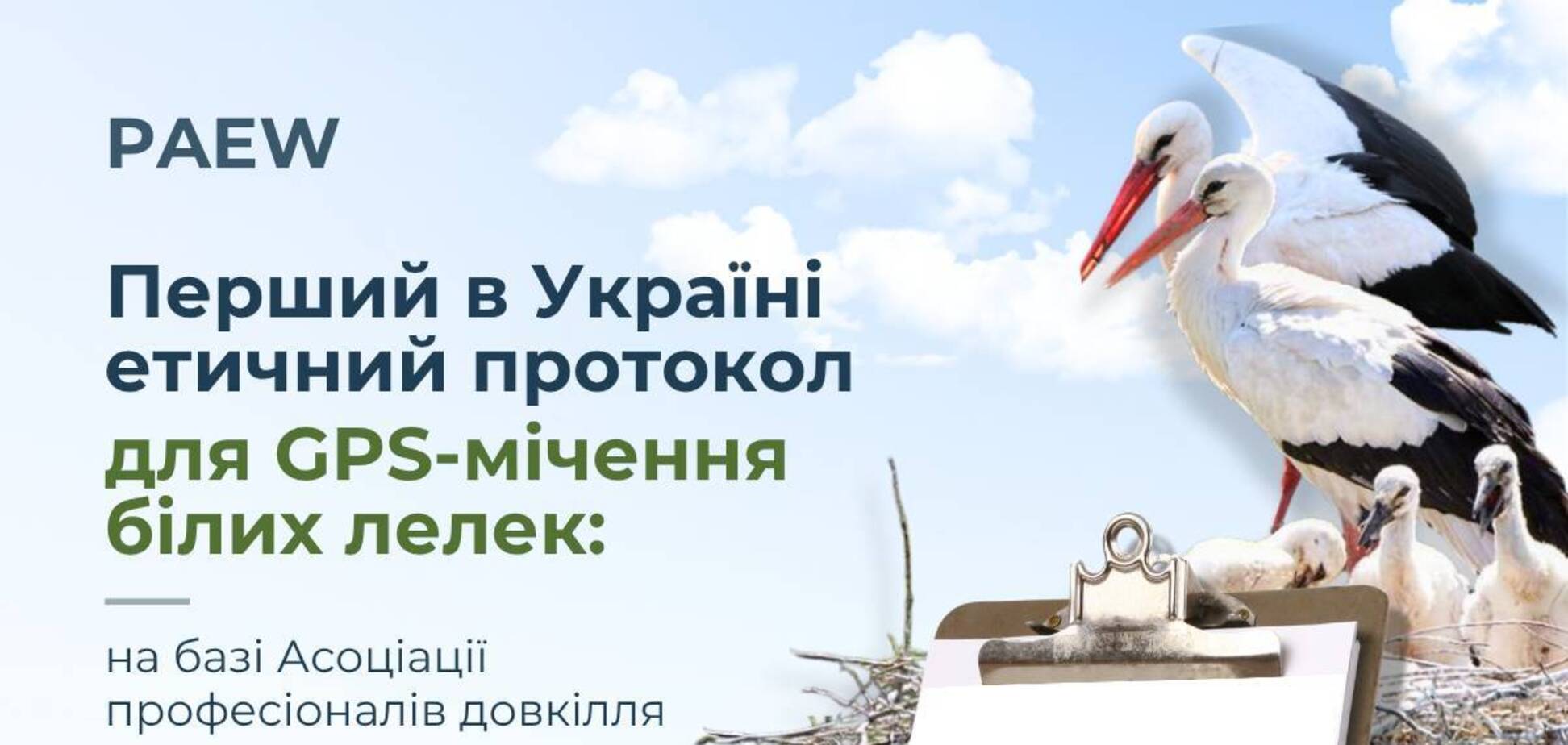 Проект ДТЭК «Тропа аистов», предусматривающий GPS-мониторинг миграции белых аистов в Украине