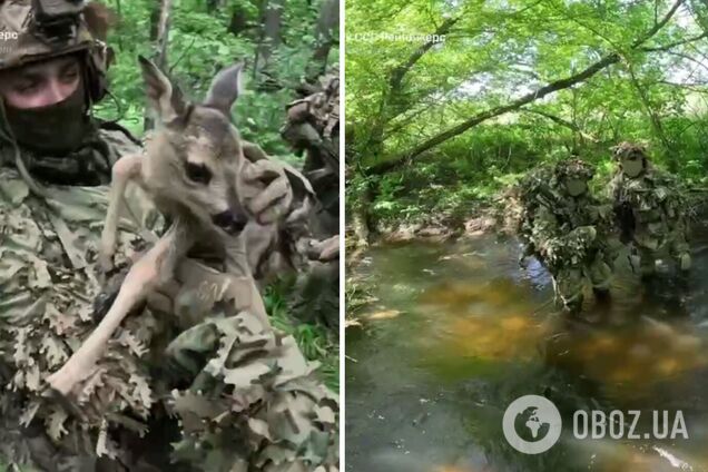 Місія 'Бембі': воїни ССО взяли в полон трьох окупантів і врятували оленя. Відео