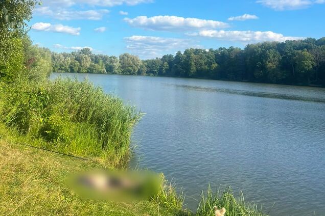 Удочка зацепилась за провод под напряжением: в Харьковской области 25-летний мужчина погиб на рыбалке