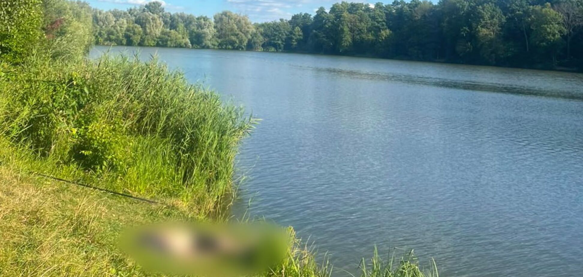 Вудочка зачепилася за дріт під напругою: на Харківщині 25-річний чоловік загинув на риболовлі
