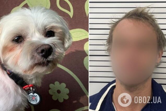 Чоловік сяде за грати на 6 років за вбивство собаки