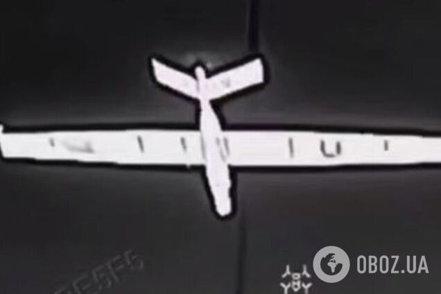Прикордонники збили ворожий ZALA Z-20 на рекордній висоті. Відео