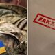 В Україні запустили фейк про зміни до мобілізації: в ЦПД спростували дані