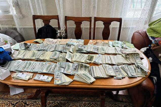 Набула мільйонних статків: у Дніпрі судитимуть голову ВЛК, яка брала хабарі за 'потрібні' висновки комісії. Фото