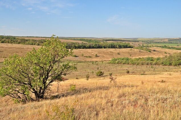 Степь возле с. Платоновка, Донетчина. Иллюстративное архивное фото