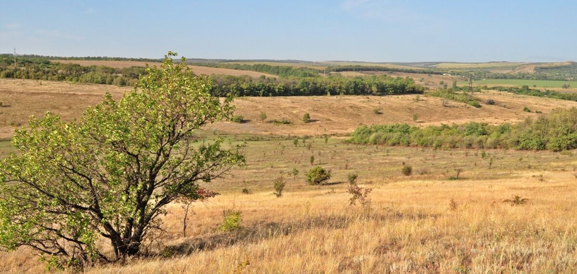 Степь возле с. Платоновка, Донетчина. Иллюстративное архивное фото