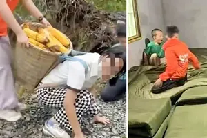 Рубят дрова и кормят свиней: зачем китайцы отправляют детей в 'лагеря выживания' за тысячи юаней
