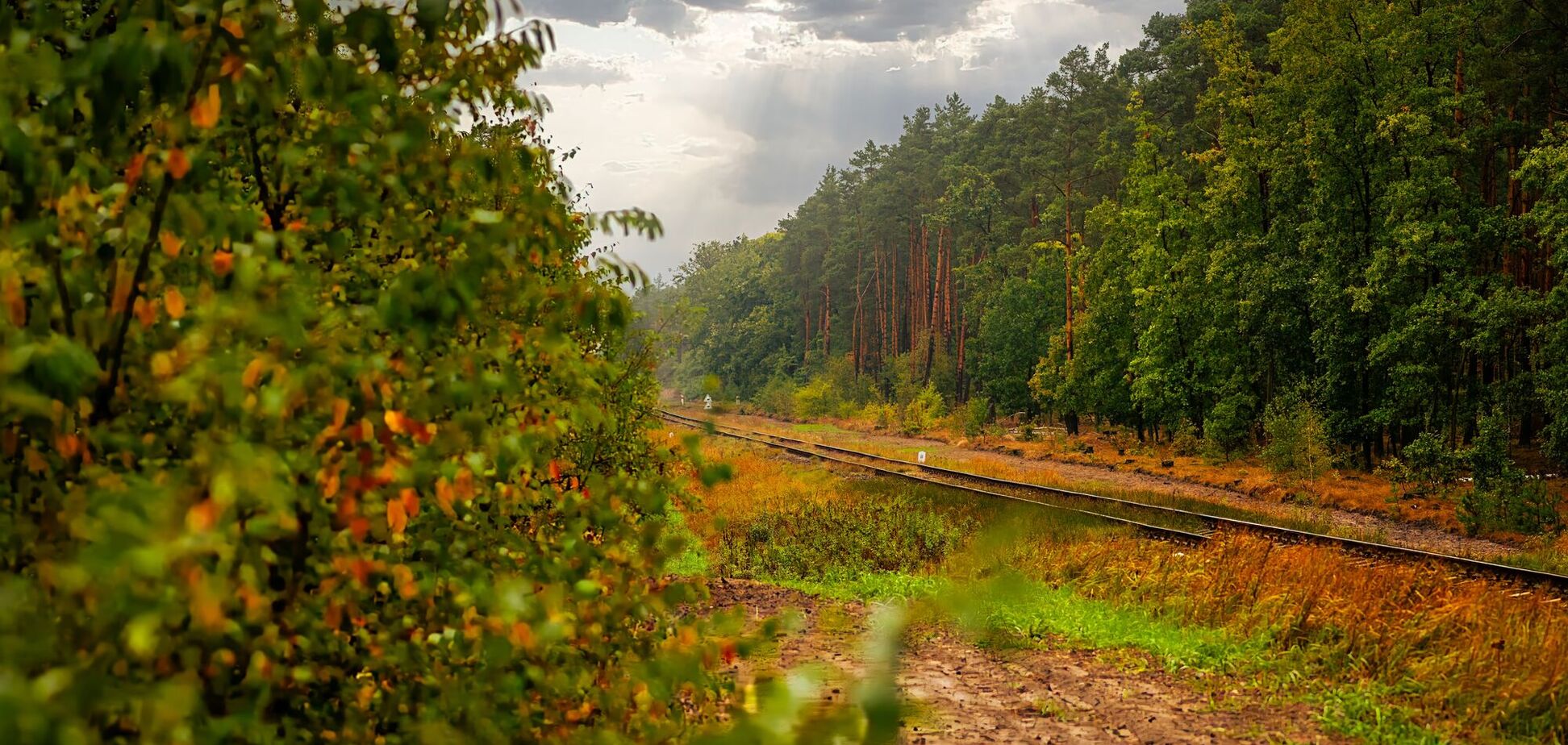 Чего нельзя делать в сентябре