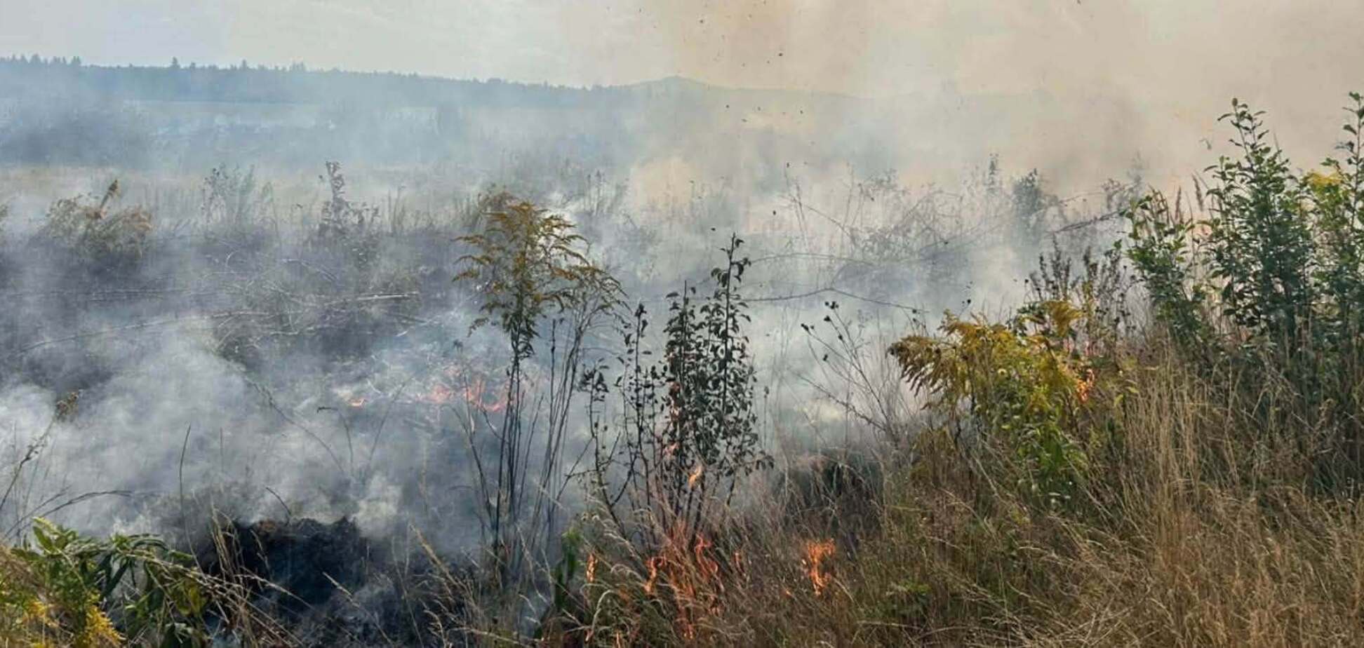 Пожежа у Івано-Франківщині