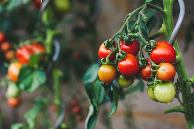 Markus Spiske on Unsplash