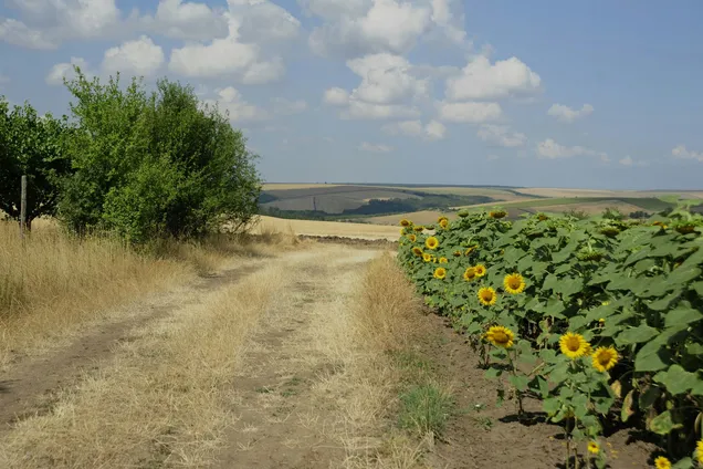 Погода в Україні
